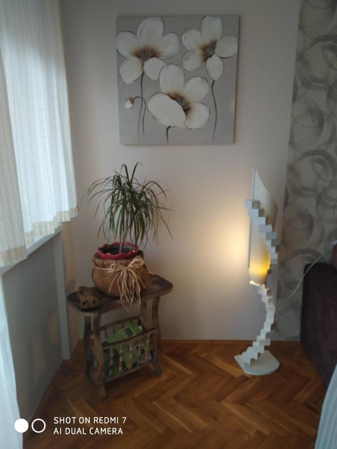 Apartman Ivan Vrdnik Dış mekan fotoğraf