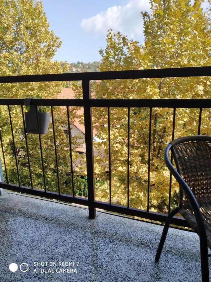 Apartman Ivan Vrdnik Dış mekan fotoğraf
