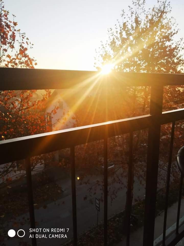 Apartman Ivan Vrdnik Dış mekan fotoğraf